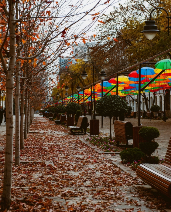 Осенний Город Фото