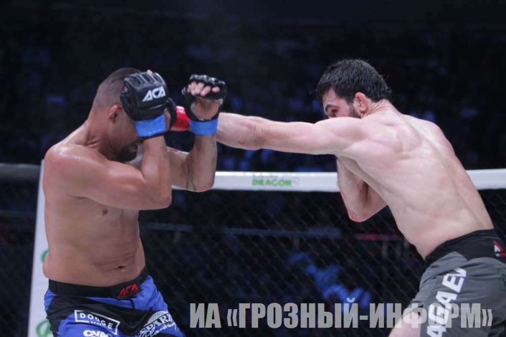 ����������� ��������� � �������� ������: ����.