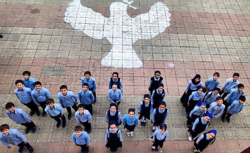 Флешмоб голубь. Флешмоб голубь. Флешмоб мир. Флешмоб голубь. Флешмоб голубь.