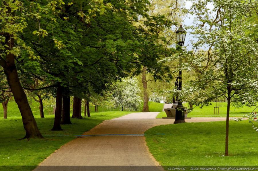 ЧЕЧНЯ. В следующем году сразу в четырех городах региона появятся новые парки
