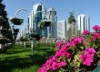 В Грозном появятся две пешеходные зоны и новый парк