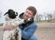 «В них есть порядок, который человек часто теряет»: Кадыров — о животных